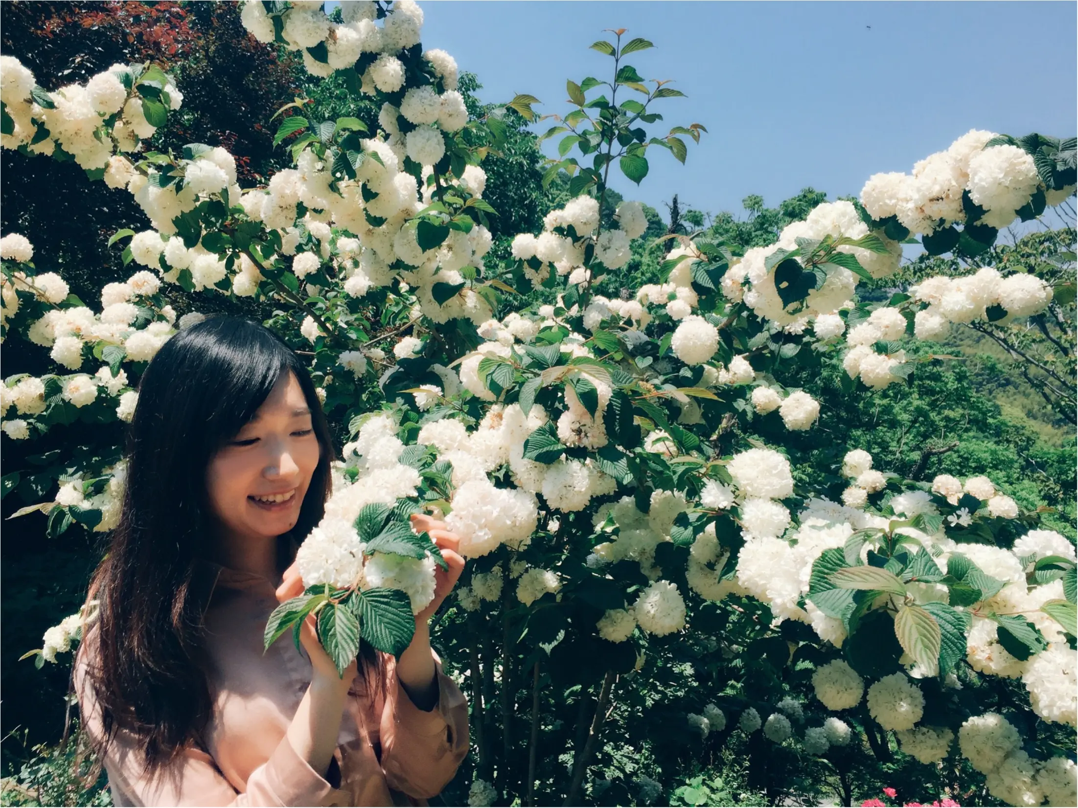 【お出掛けスポットin熱海】今が見頃のローズガーデン!薔薇のトンネルにうっとり…♡_16