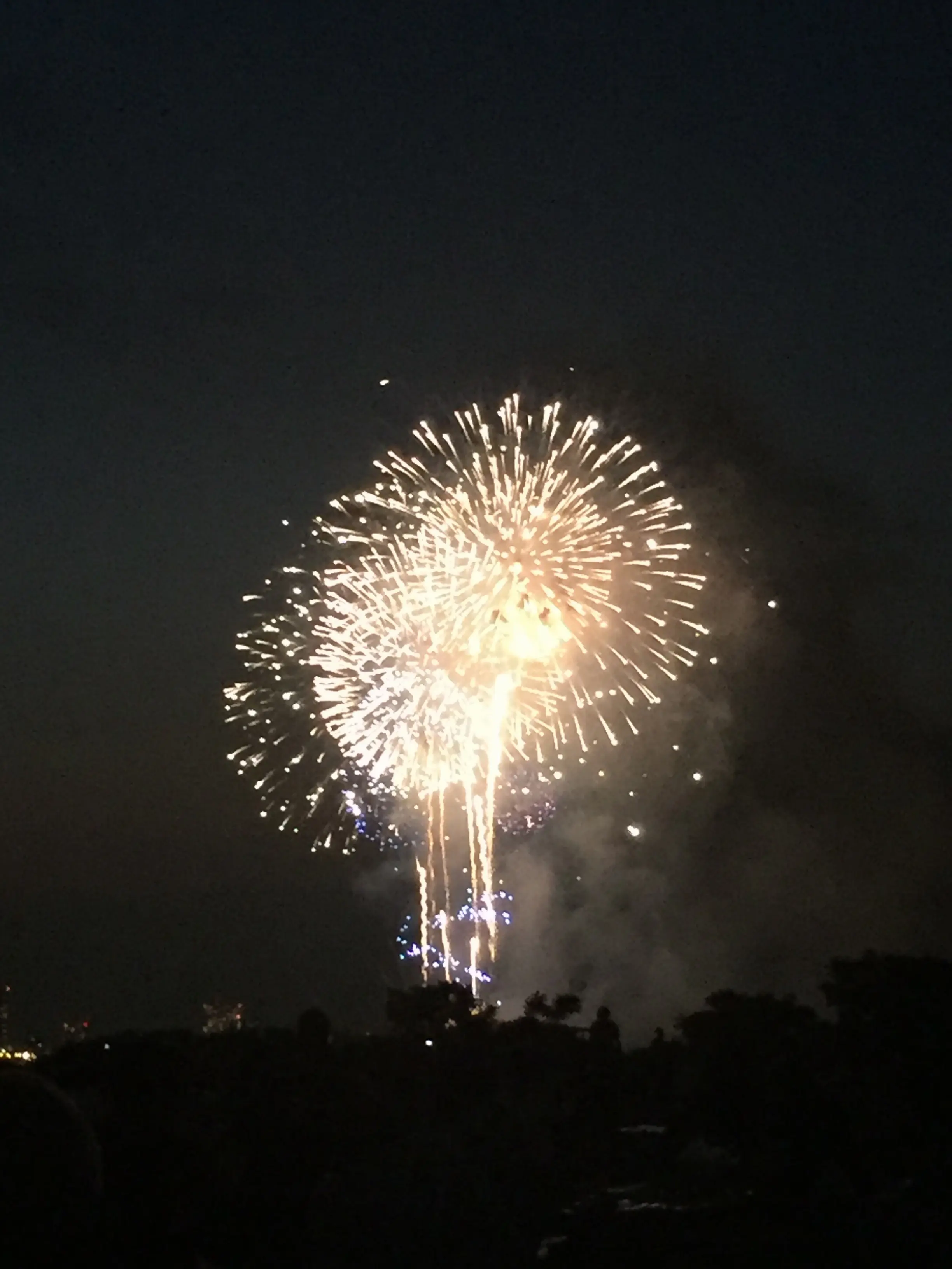 【8/6江戸川区花火大会】開始間際でも場所取り可能!迫力満点の花火を座って鑑賞できる穴場スポット♡2017年の参考に✨≪samenyan≫_1