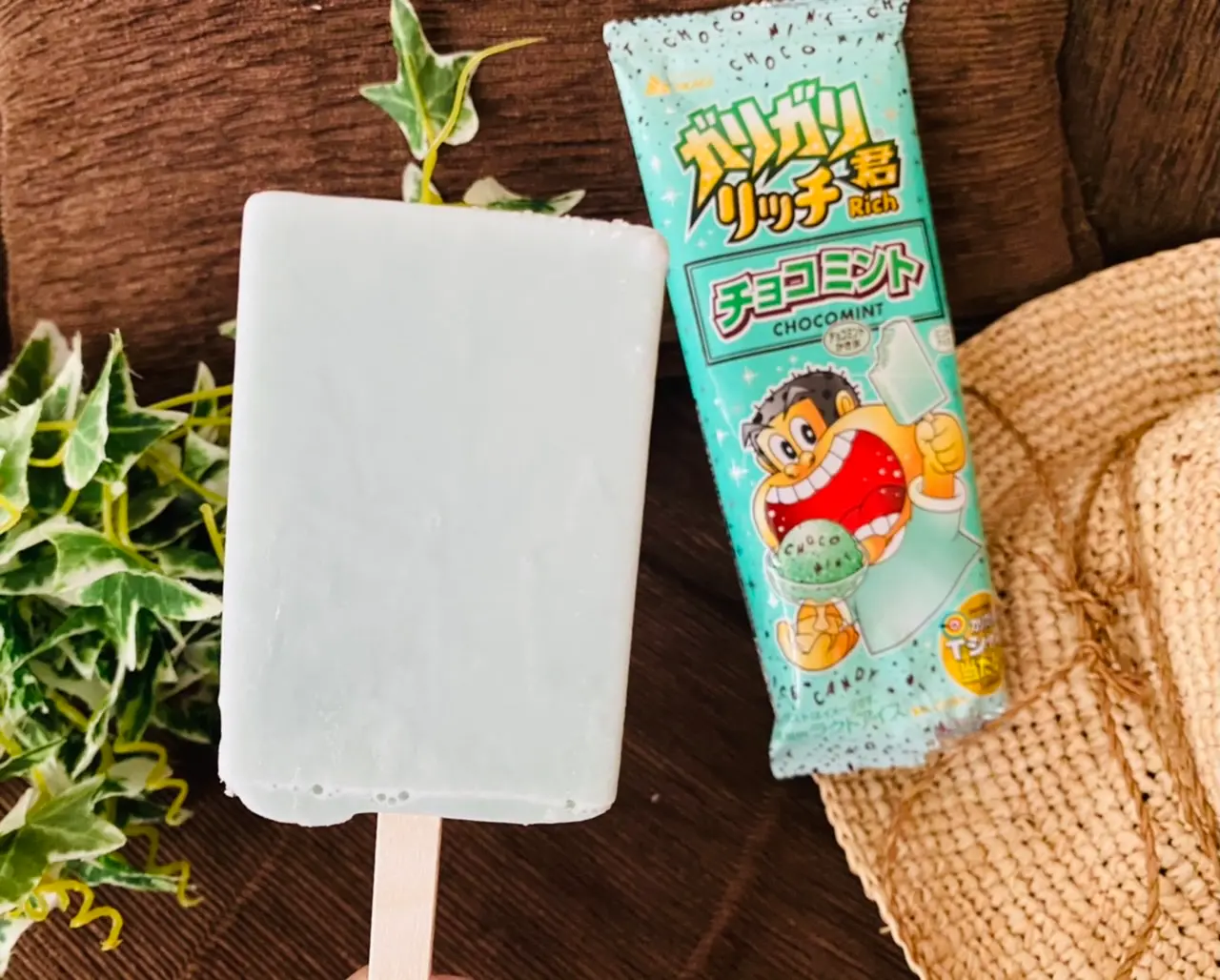 【おすすめアイス】チョコミン党に朗報!今年も《ガリガリ君 リッチチョコミント》が登場★_2