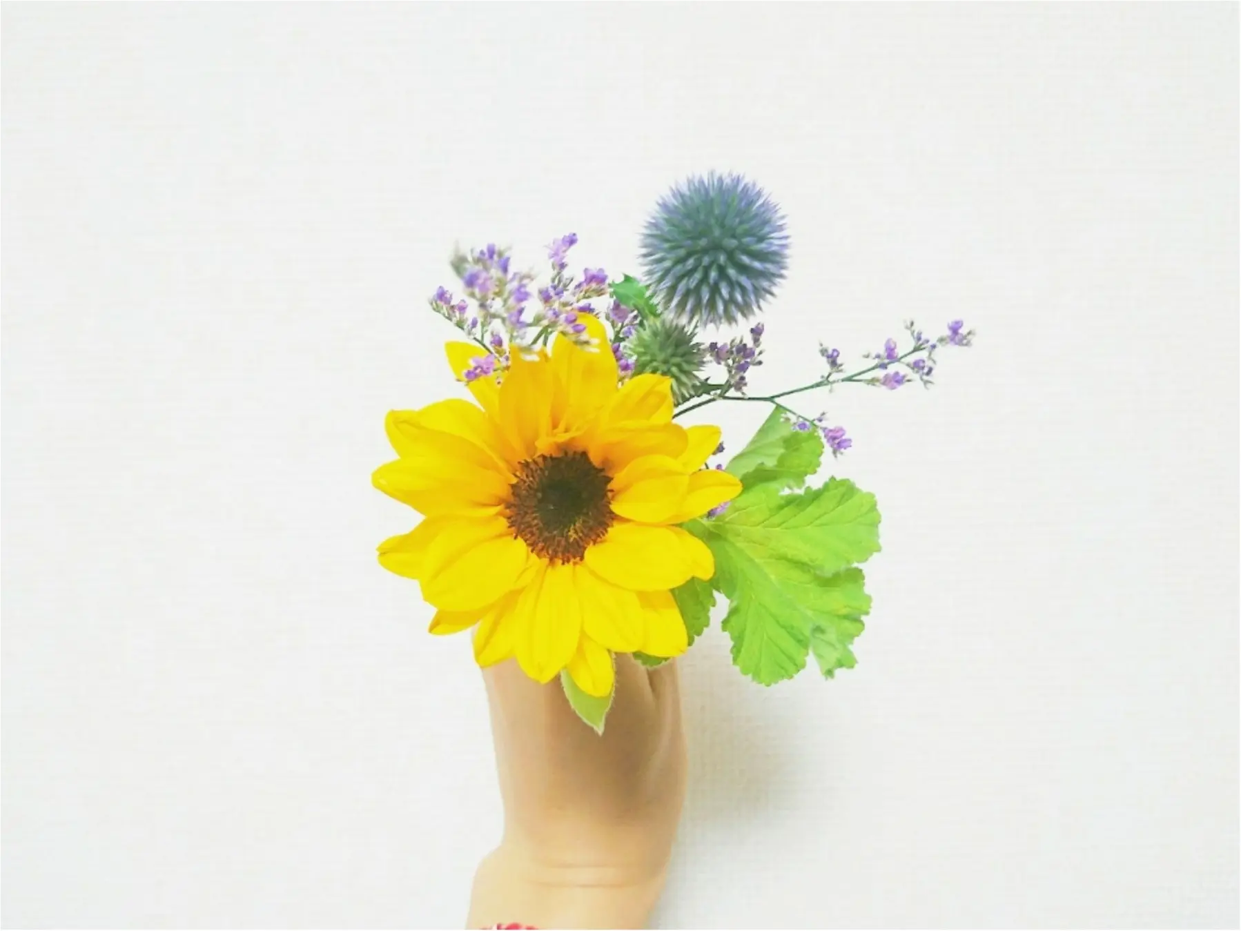 【 LIFE 】暑い夏こそ!おうち時間を心地良く ♪ 少しの工夫で《 癒しの空間 》へ _3