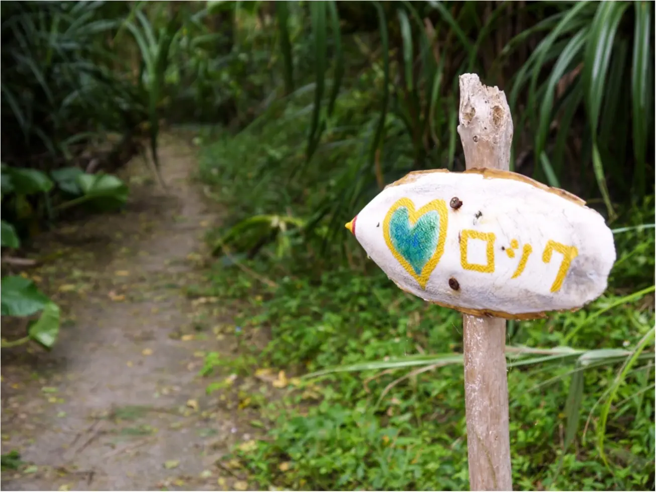 【鹿児島/隠れリゾート☆奄美大島レポ第一弾】限られた条件下でしか見られない!!幻のブルーハートを見に行こう♡ ヒトコレ-vol.7-_2