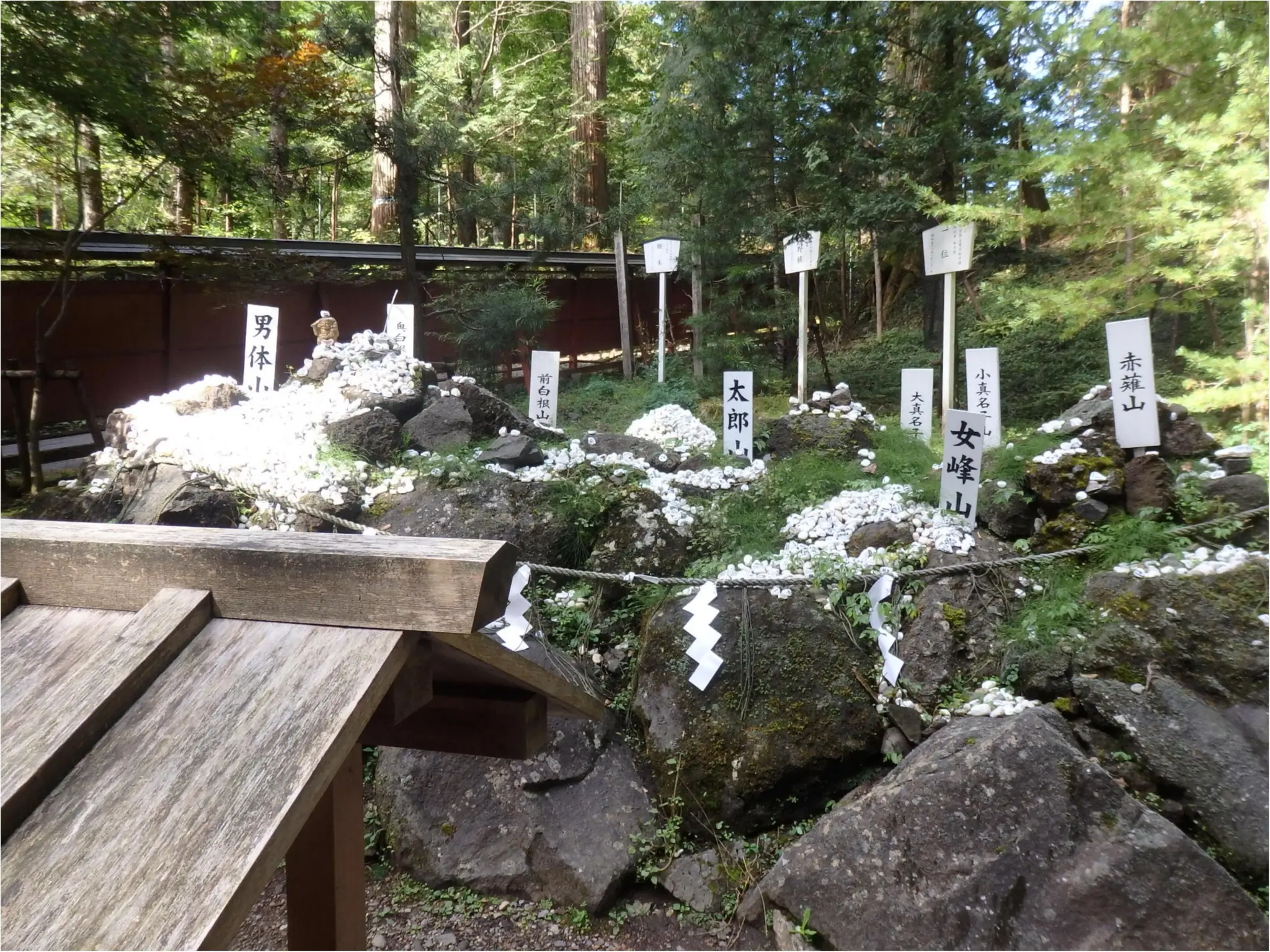 【知らなかった!】日本一楽しめる神社へ潜入してみた_37