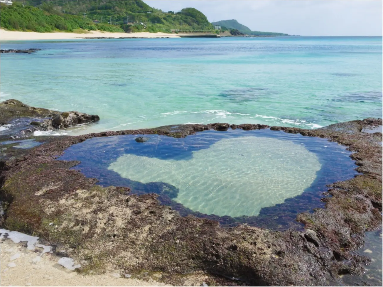 【鹿児島/隠れリゾート☆奄美大島レポ第一弾】限られた条件下でしか見られない!!幻のブルーハートを見に行こう♡ ヒトコレ-vol.7-_5