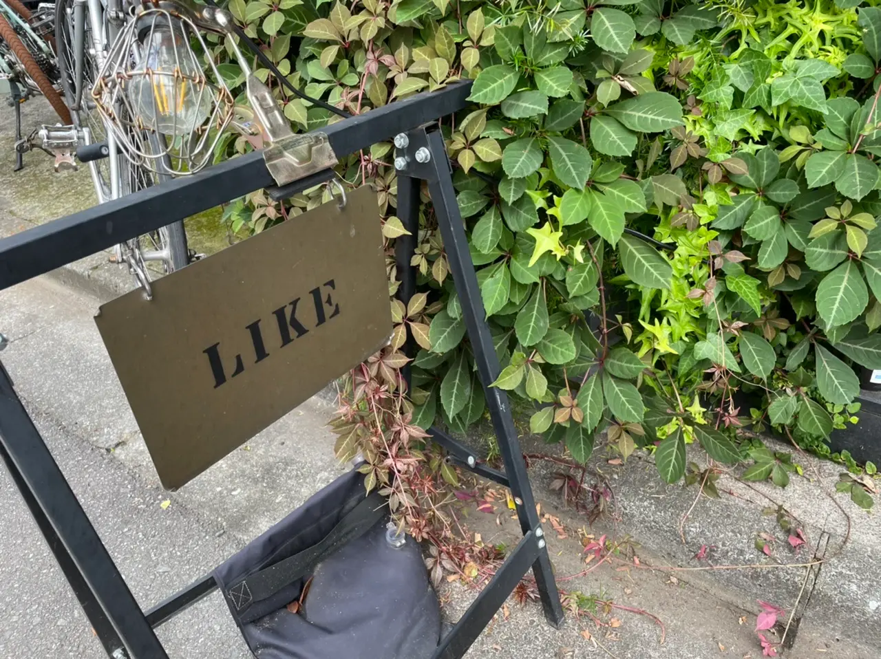 【感動レベルの美味しさ】白金台『LIKE』のピーナッツシュークリーム_3
