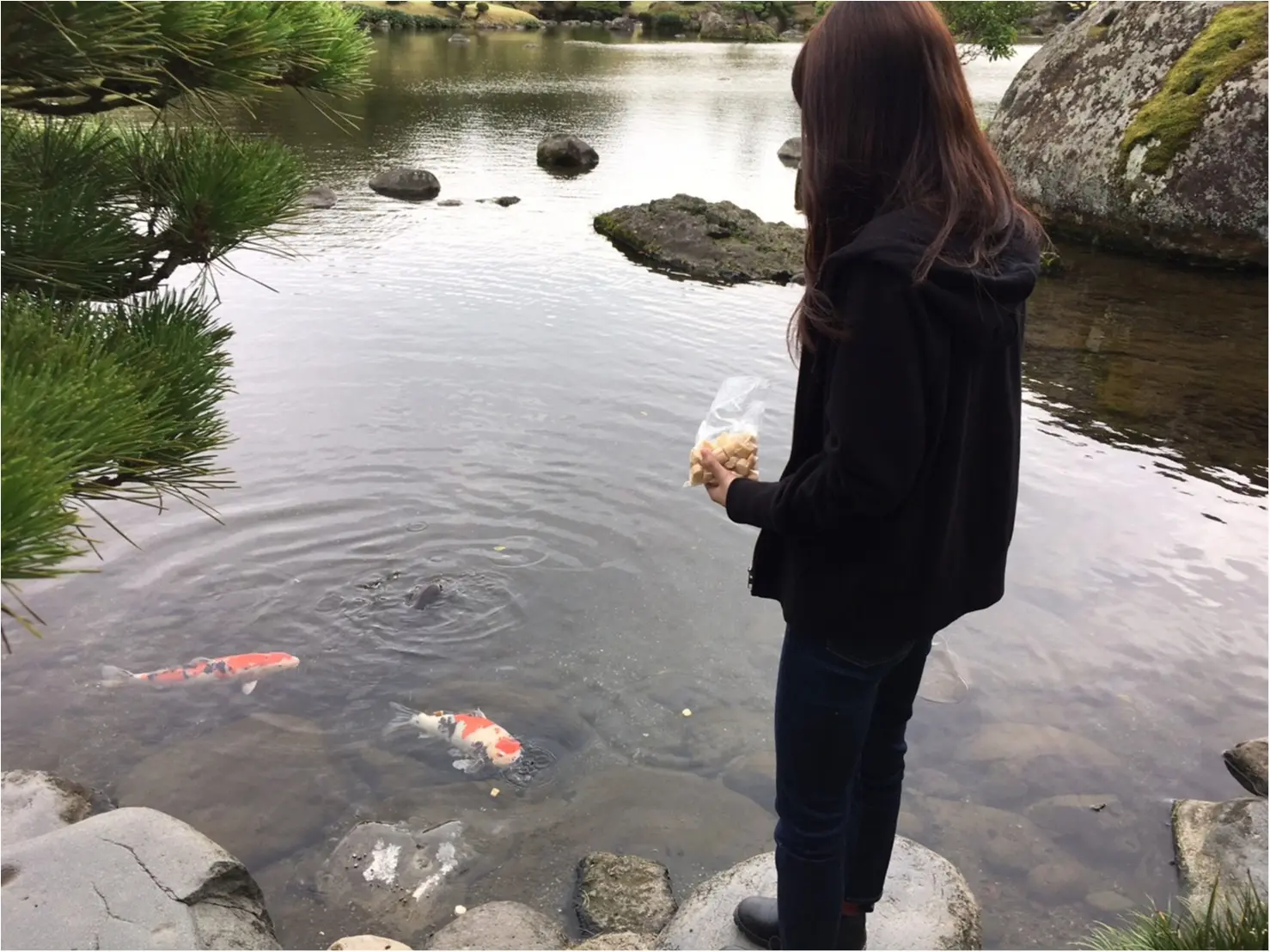 【動画で紹介!】熊本市内に発見! SNS映えする美しい庭園「水前寺成趣園」でリフレッシュ!【#モアチャレ 熊本の魅力発信!】_4