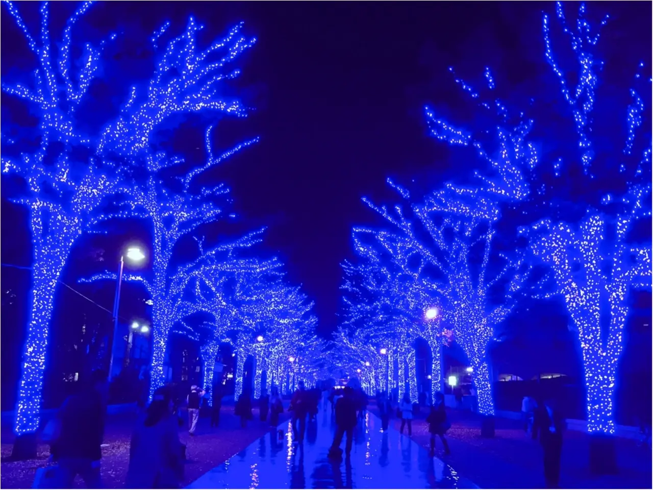 あの『青の洞窟』が渋谷に帰ってきた♡一面ブルーのイルミネーションは見逃し厳禁(*´ ˘ `*)_6