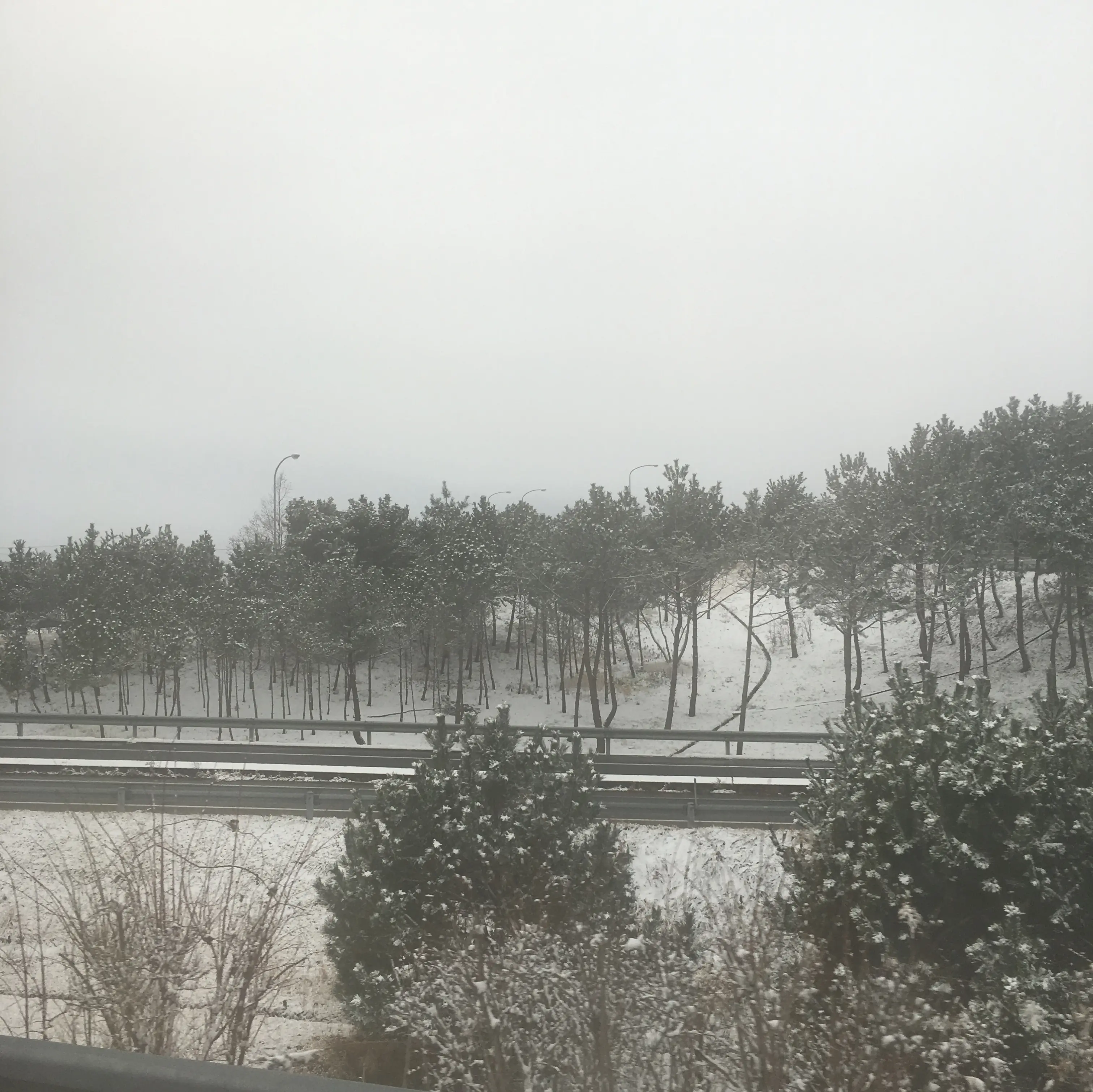 みやぎ県南浜街道ツアー♡_2