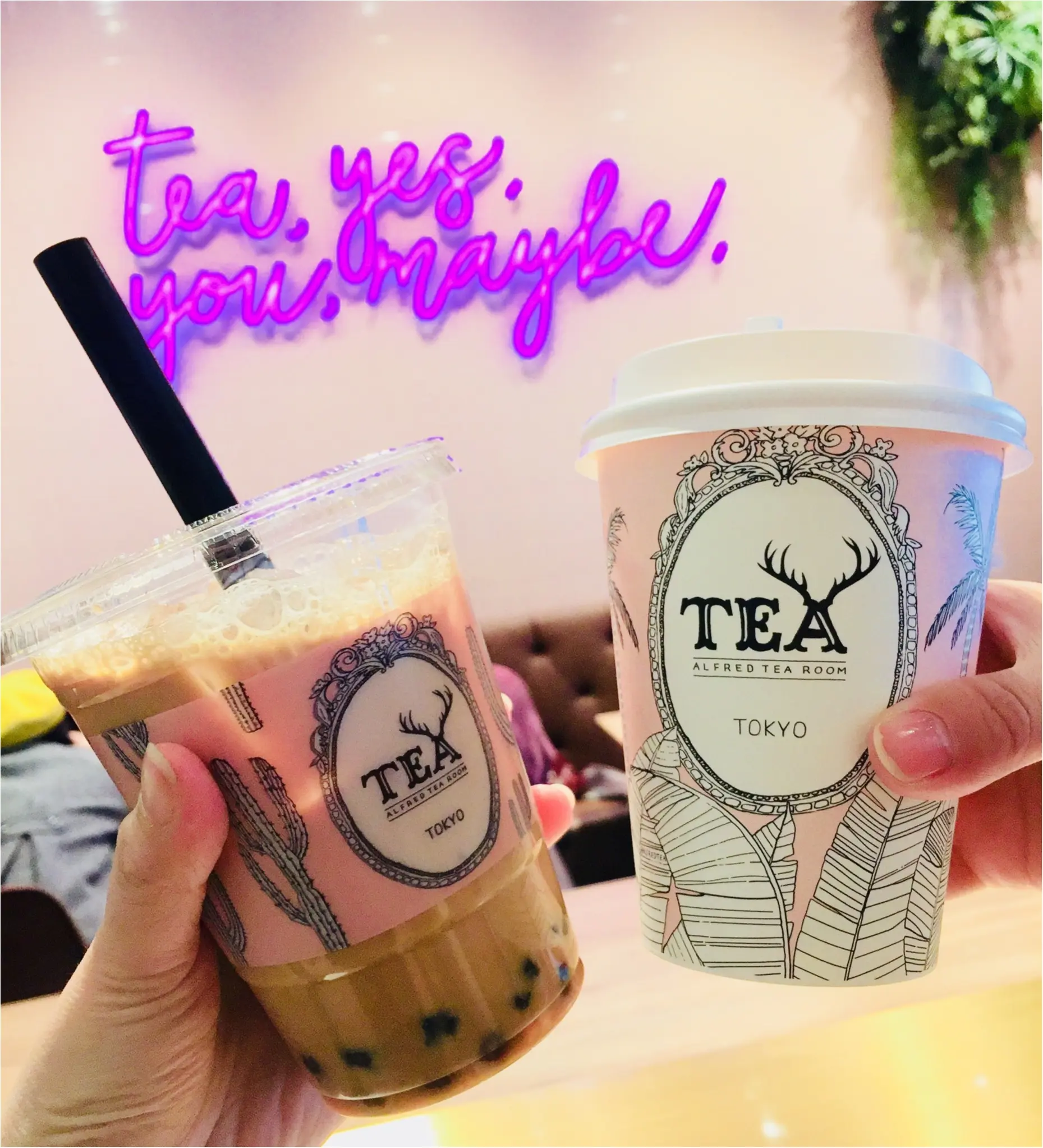 《LA発のティールーム★》ALFRED TEA ROOMでお洒落にティータイムはいかが?_2