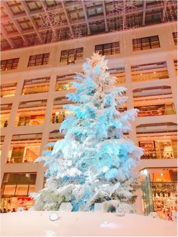 《あなたはどれが好み?》クリスマスツリー特集♡_1