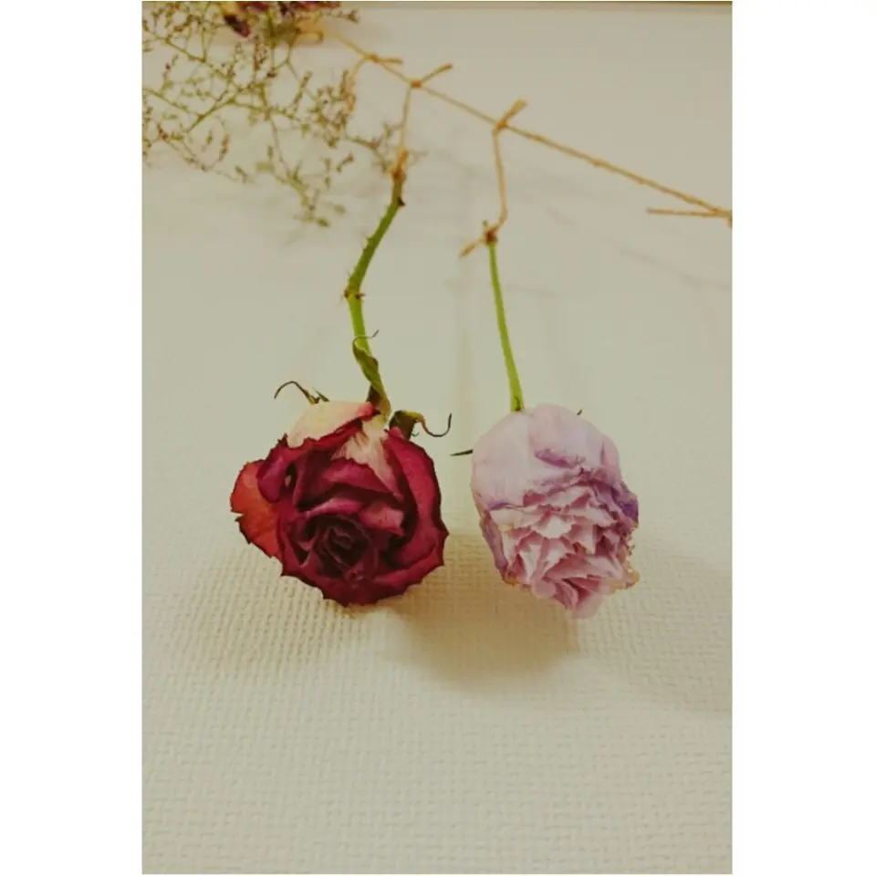 《部屋の中から女度を上げる》ドライフラワーでお花を何度も愉しもう♡_9