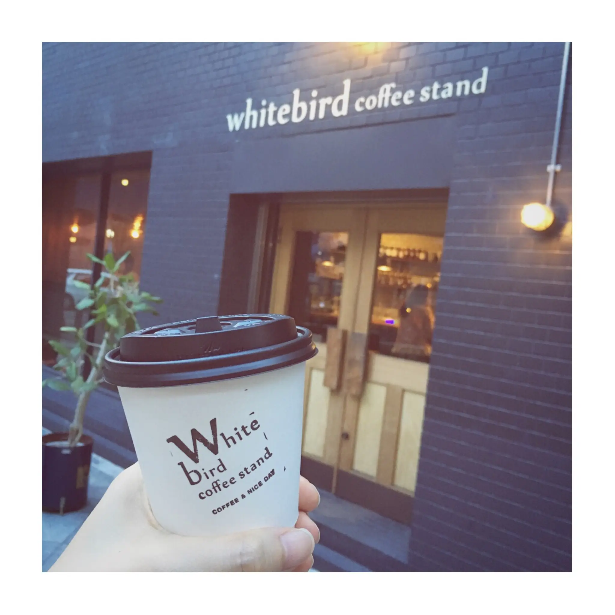 #7【#cafestagram】❤️:《大阪•梅田》バーのようなシックな空間で落ち着くカフェタイムを*「whitebird coffee stand」☻_1