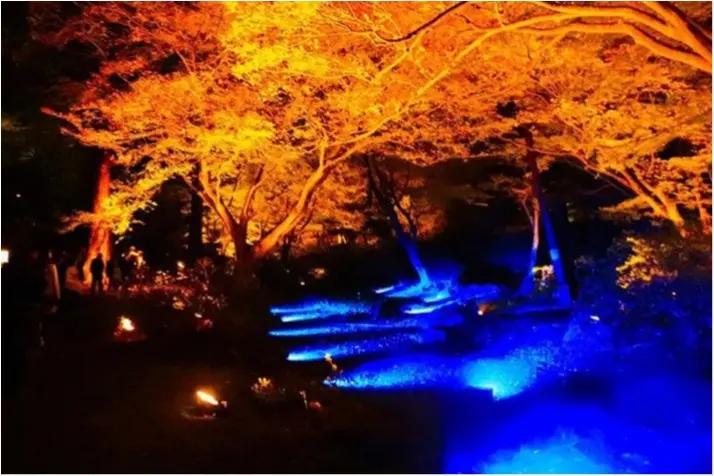 紅葉もあと少し!都内オススメ紅葉スポット巡り♡_3