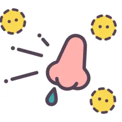 【鼻うがいは痛くない！】鼻うがいのプロ＆マニアがオススメする鼻うがいアイテム！