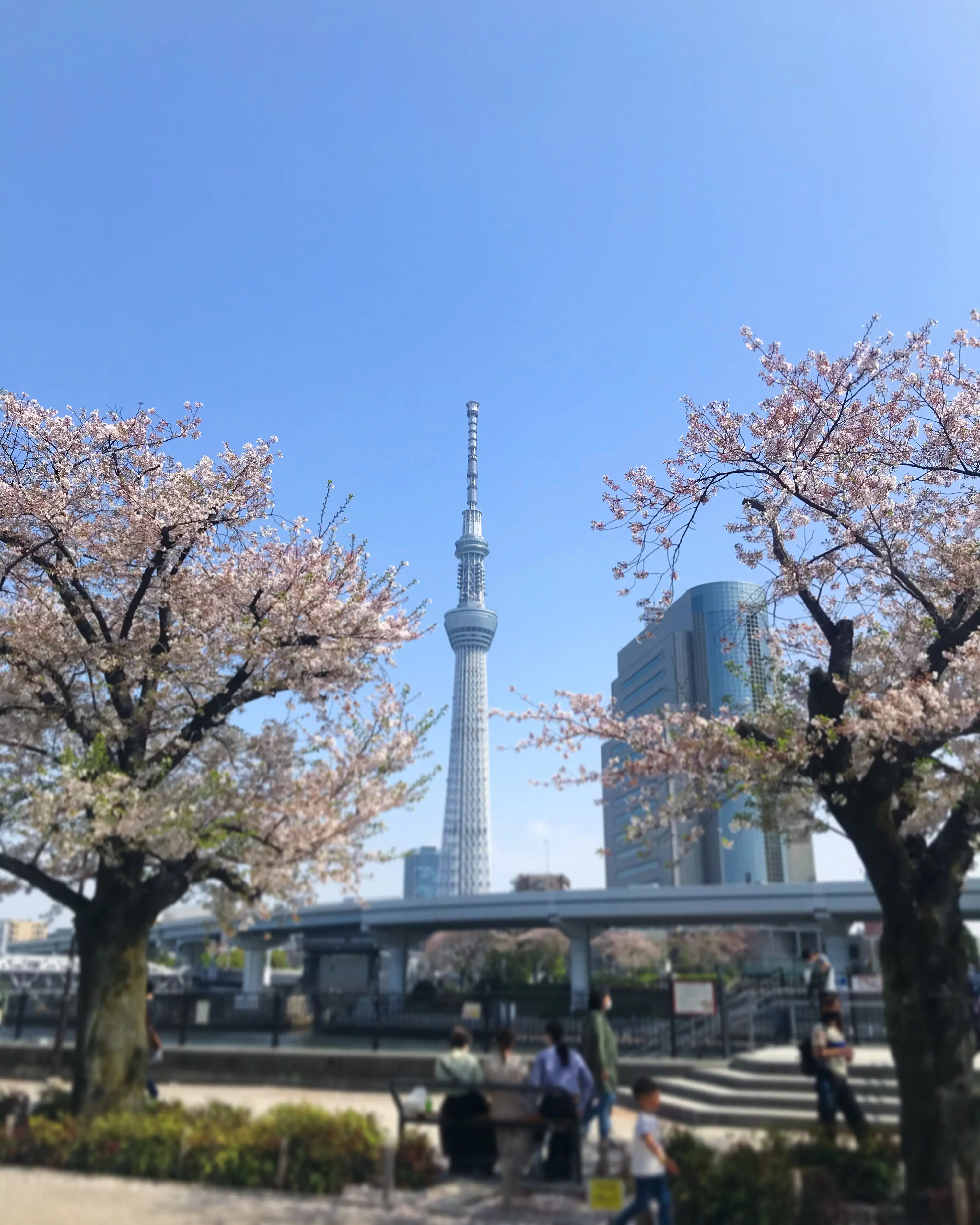 【Fly for ALL #大空を見上げよう】東京の空にニコちゃんマークが出現!一瞬の幸せをシェア☻♡_5
