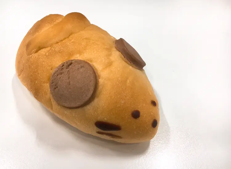 【渋谷】旅のお供はカレーとワイン。渋谷《Sta.》から始まる本と人生の旅へ出かけよう。_1