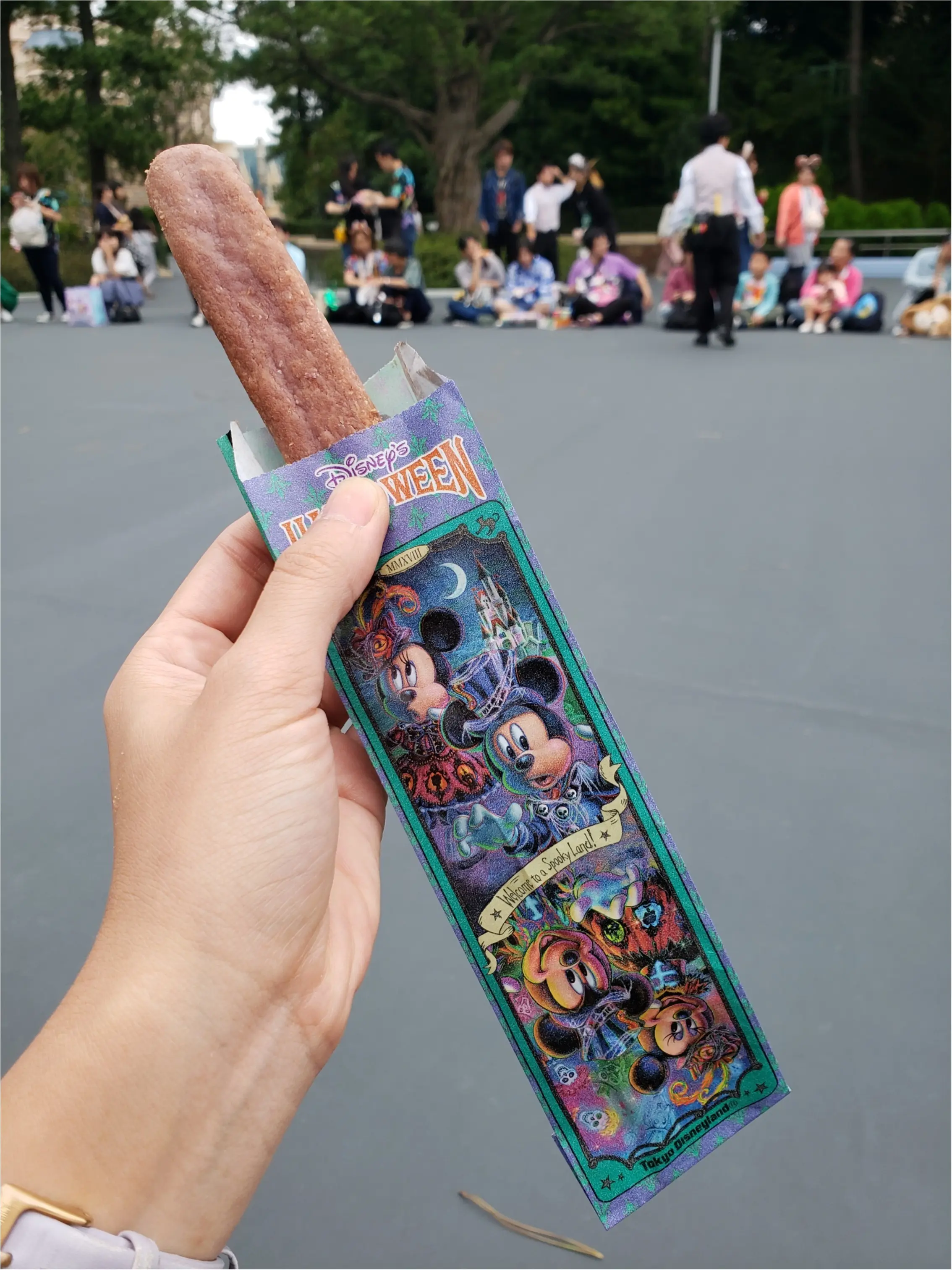 【東京ディズニーランド】9/11ハロウィーン初日に行ってきました!_12