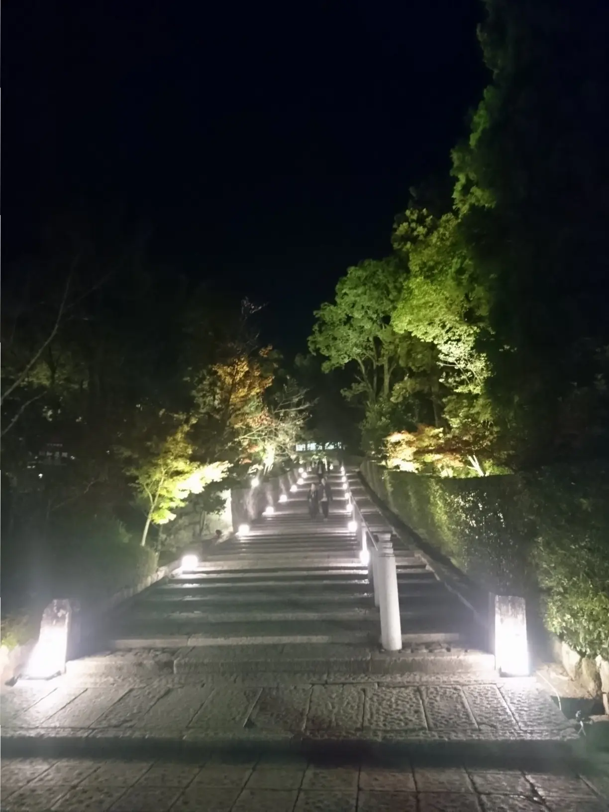 ≪京都・知恩院≫2年ぶり特別公開&ライトアップされた三門は圧巻☆_1