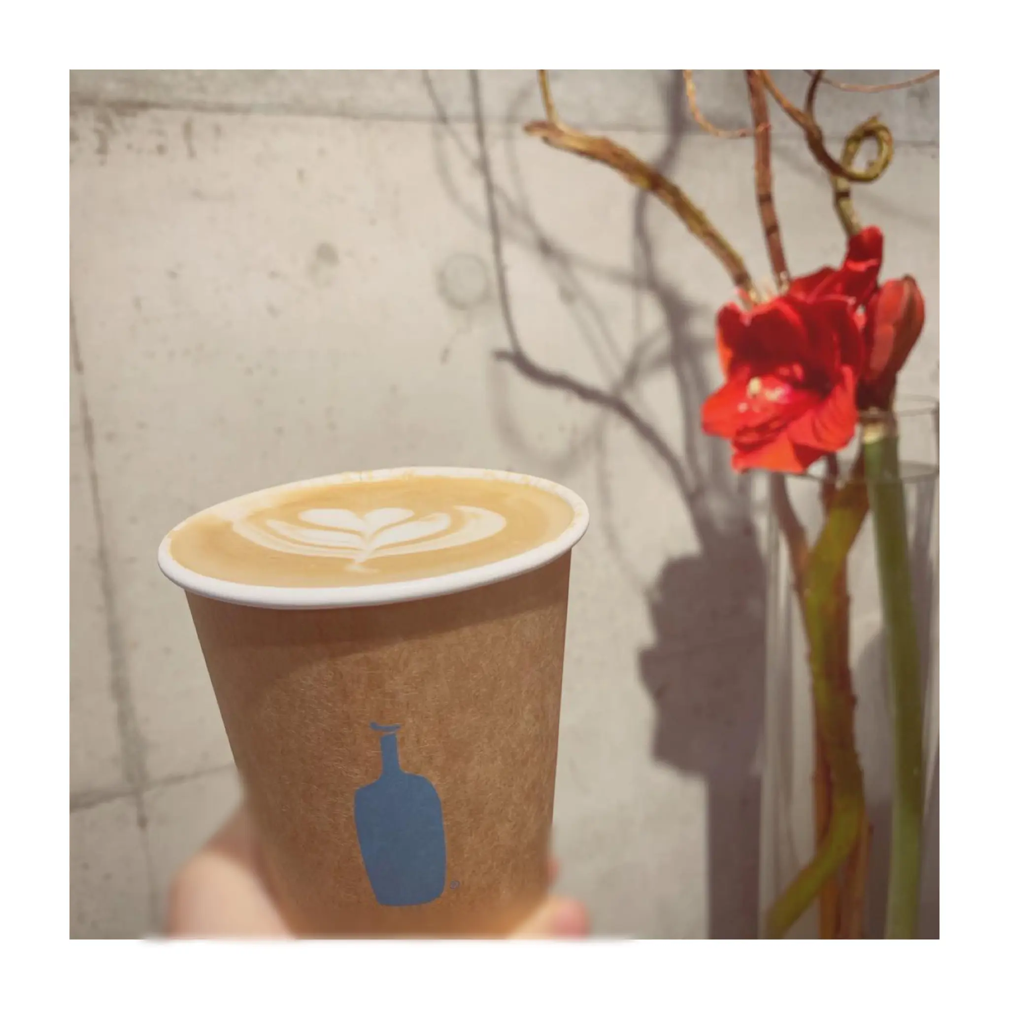#21【#cafestagram】❤️:《東京•秋葉原》にBLUE BOTTLE COFFEE初のテイクアウト専門店がオープン☝︎❤︎_2