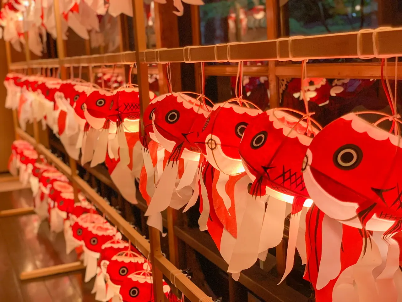 柳井金魚のちょうちん祭り