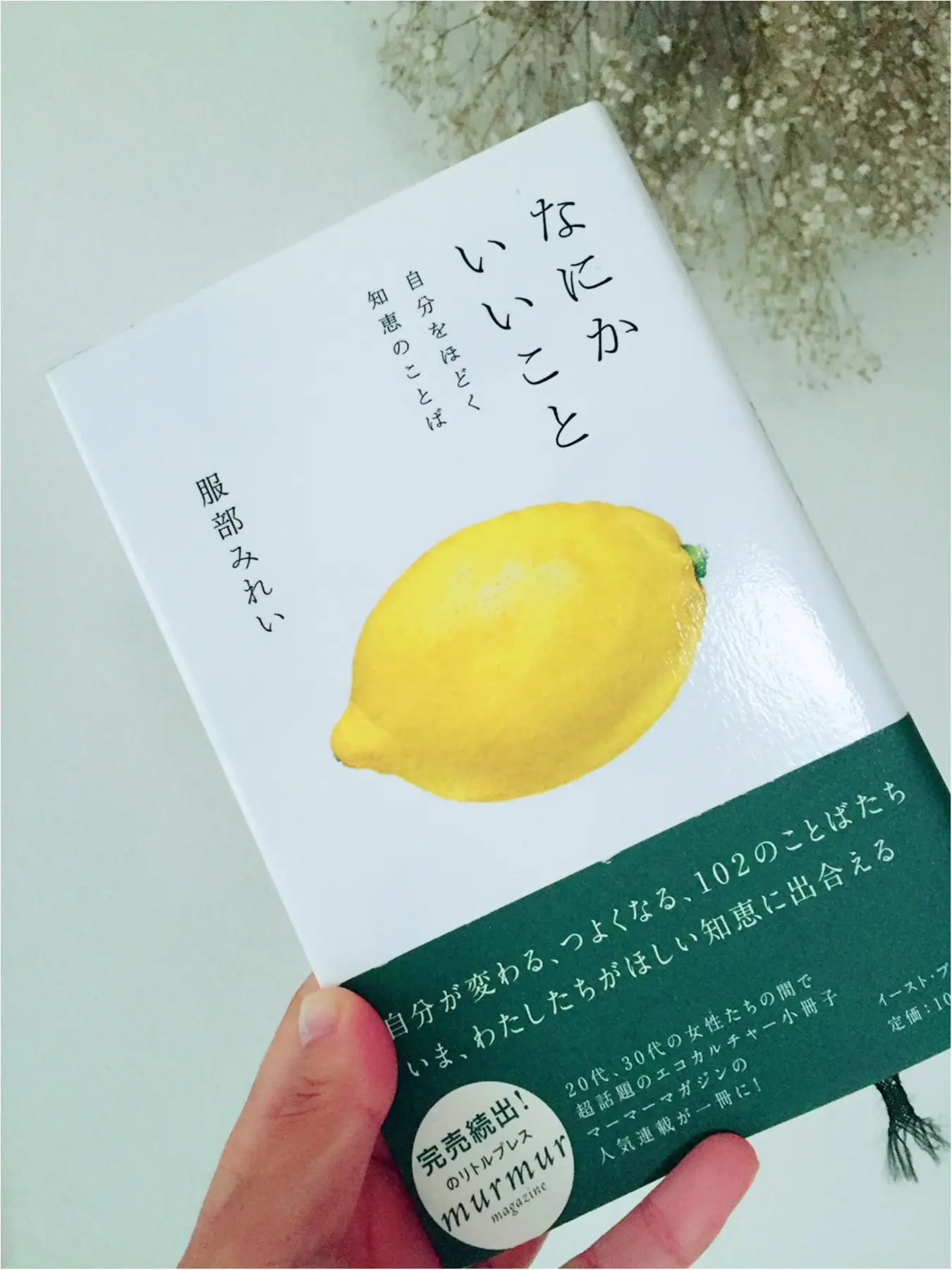 …ஐ アーユルヴェーダやホ・オノポノポノで生活にみずみずしさを‧⁺✧︎* ஐ¨_6