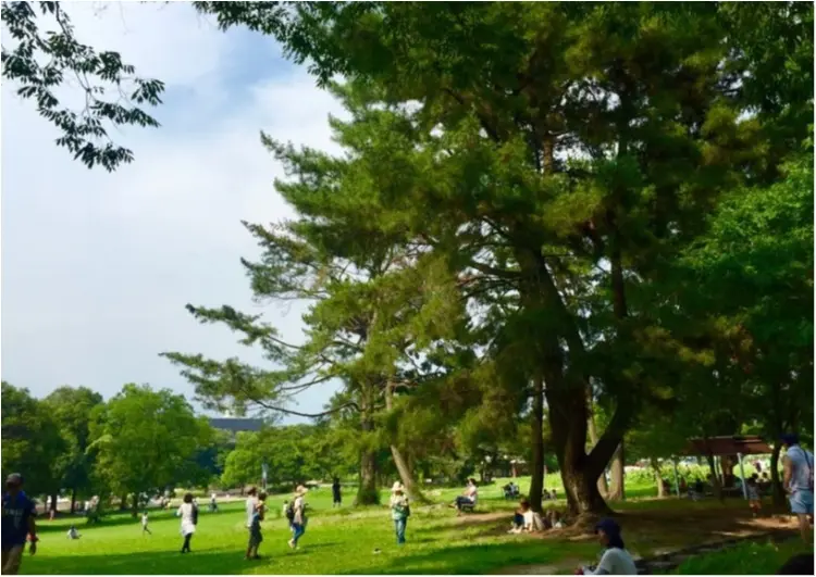 万博公園はピクニック日和!_1