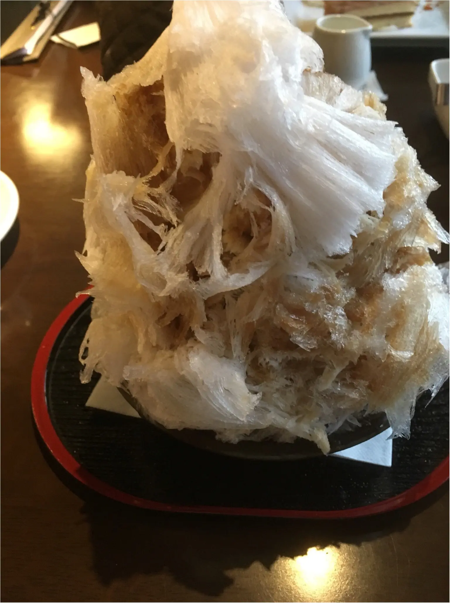 日帰りぶらり旅。かき氷を食べるの巻_6