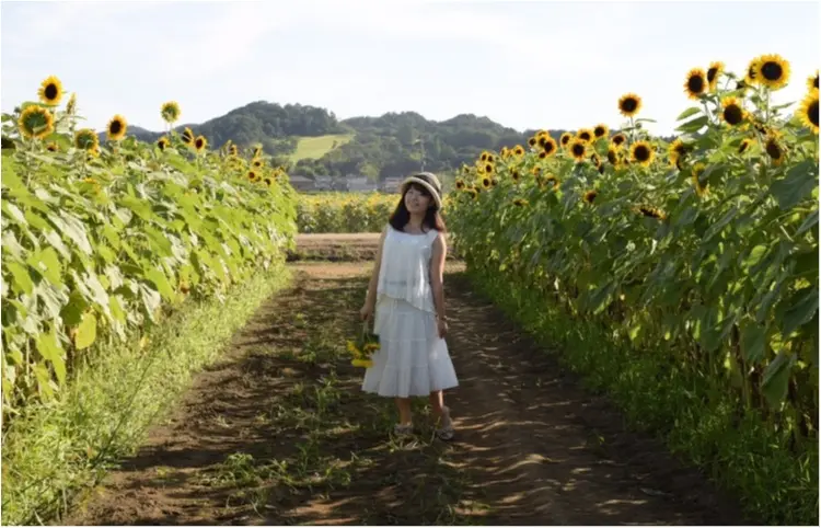 【ジェニ旅】東京ドーム2個分のひまわり畑!! 『益子ひまわり祭』で平成ラストサマーを全力で楽しむ♡_4