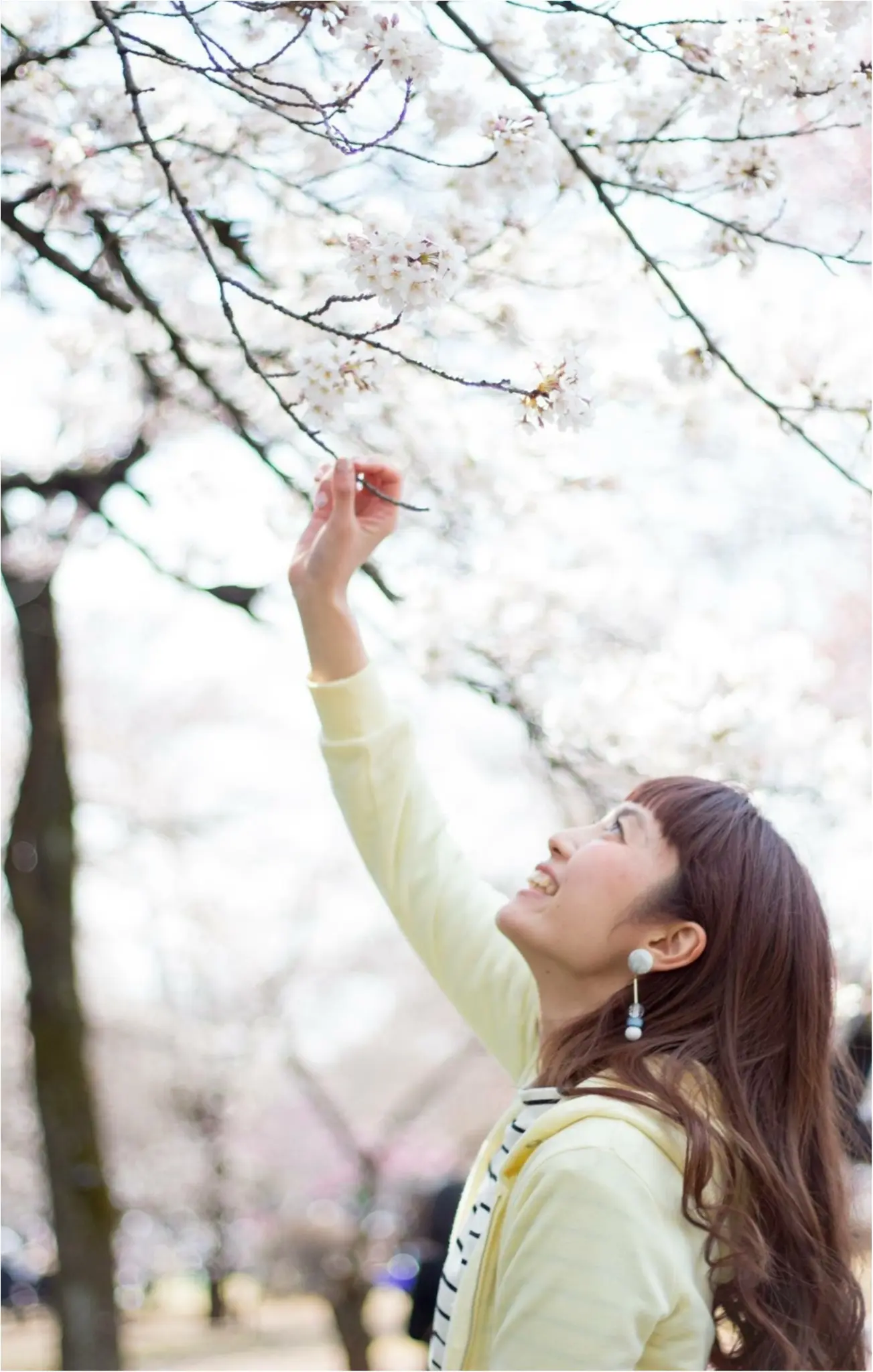 新宿御苑のお花見がゆっくりできるわけ★_4