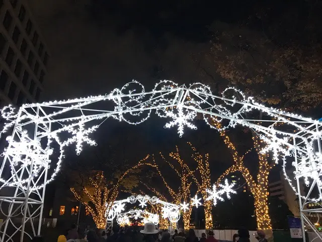 12/14〜12/25《OSAKA光のルネサンス》中之島のイルミネーションが素敵すぎる♡_6