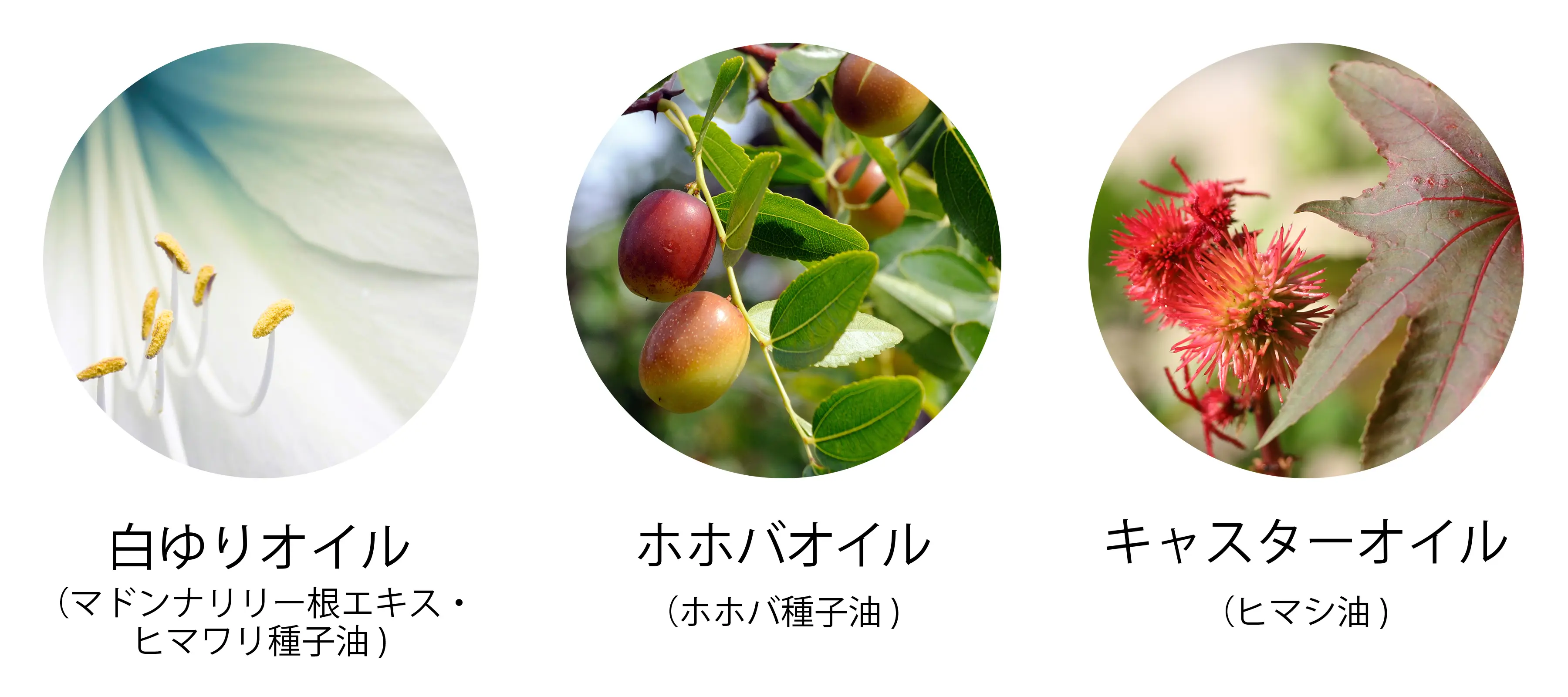 白ゆりオイル、ホホバオイル、キャスターオイル