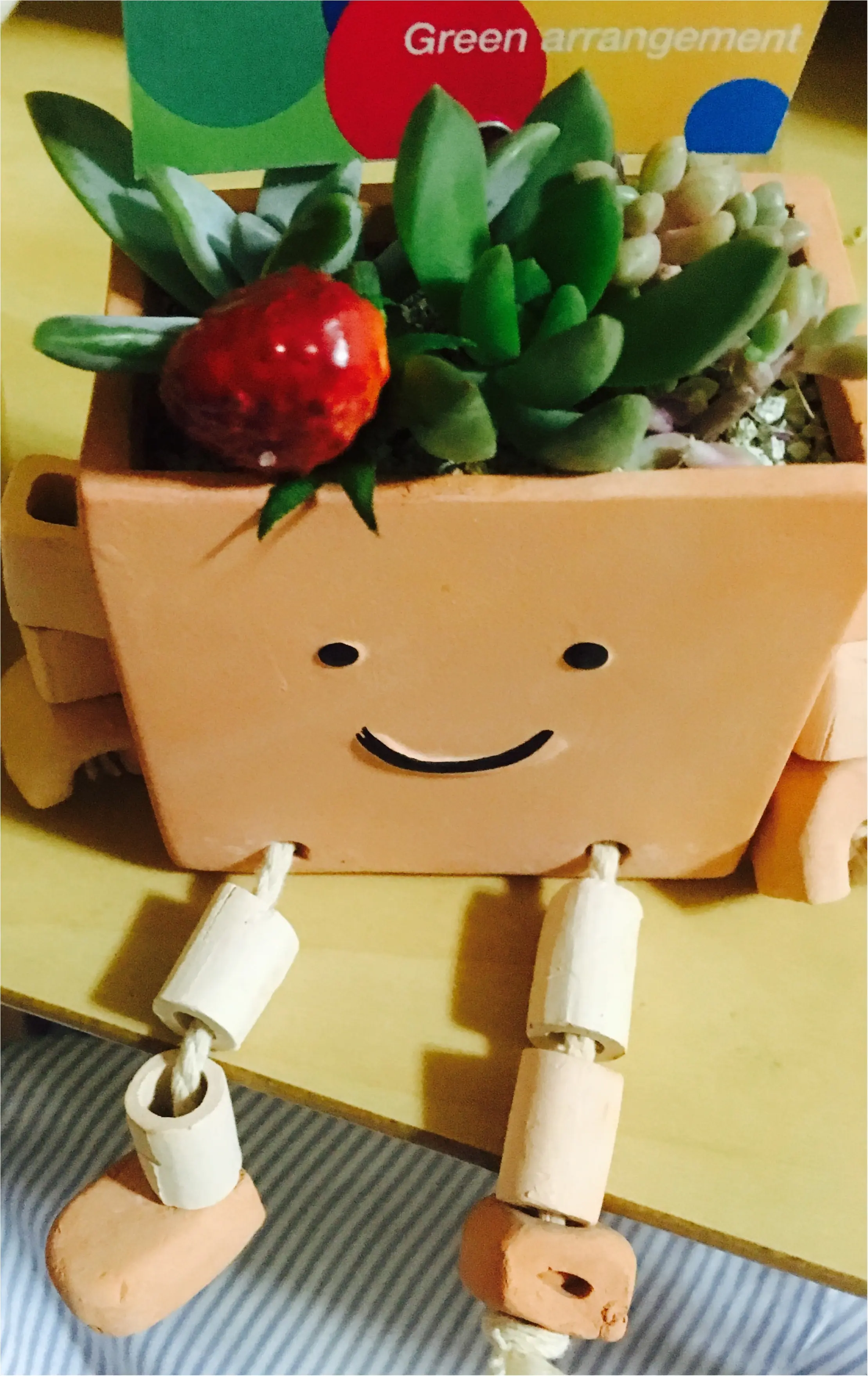 育てやすいし、癒される♪今流行りの多肉植物デビューしました✨_2
