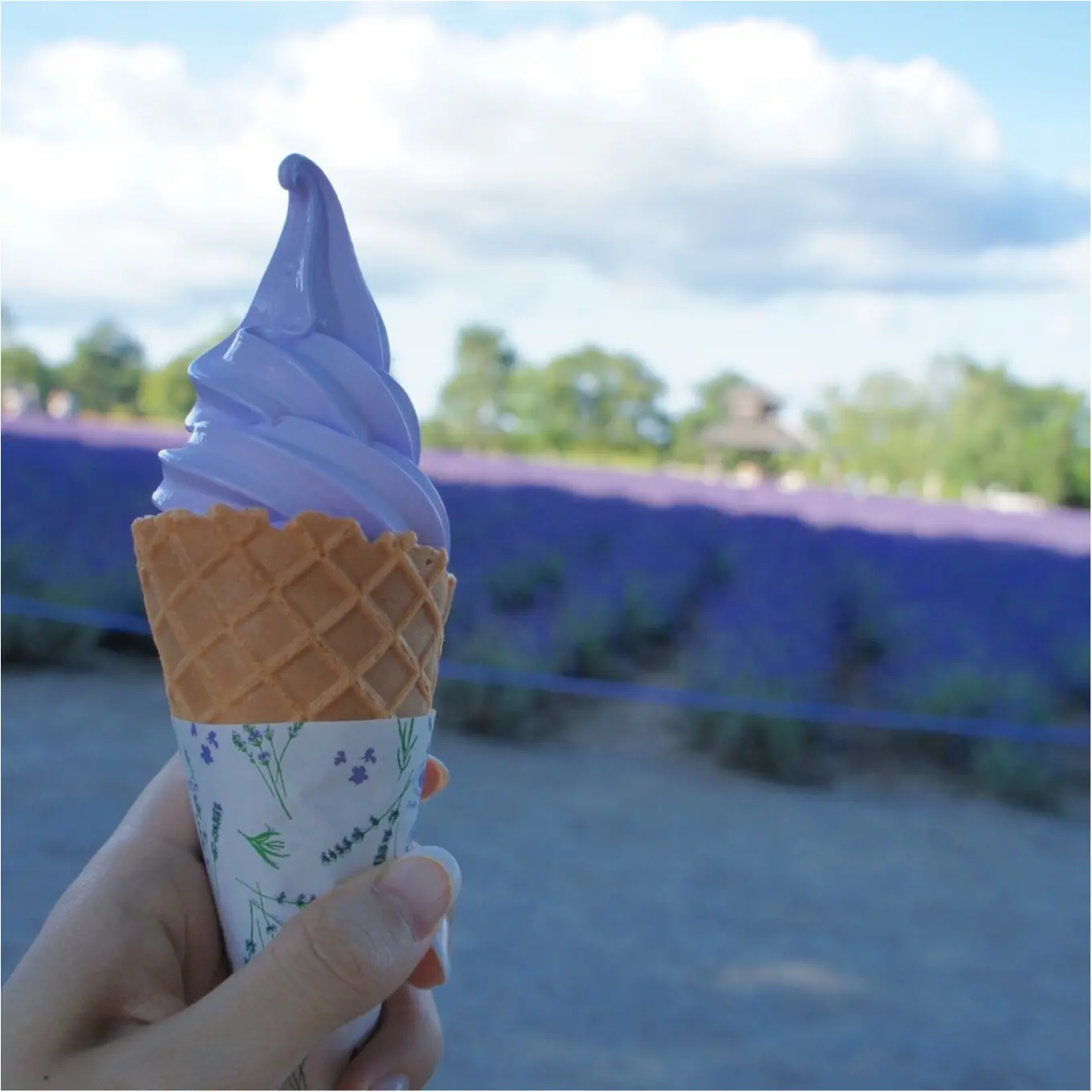 リアルolインフルエンサーが発見 日本全国 映え旅スポット を紹介します ライフスタイル最新情報 Daily More