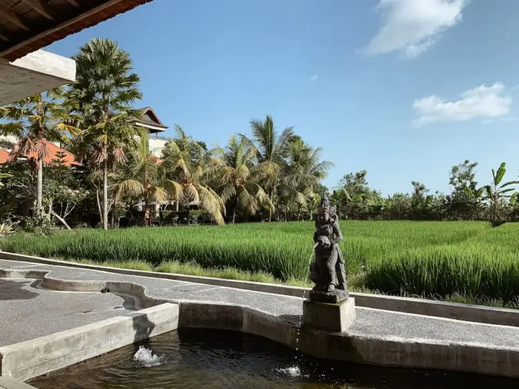 《バリ島》おしゃれな絶景カフェ3選☆ ウブド、テガラランの美味しくて映えるお店をご紹介♪【 #TOKYOPANDA のおすすめバリ島情報】_6