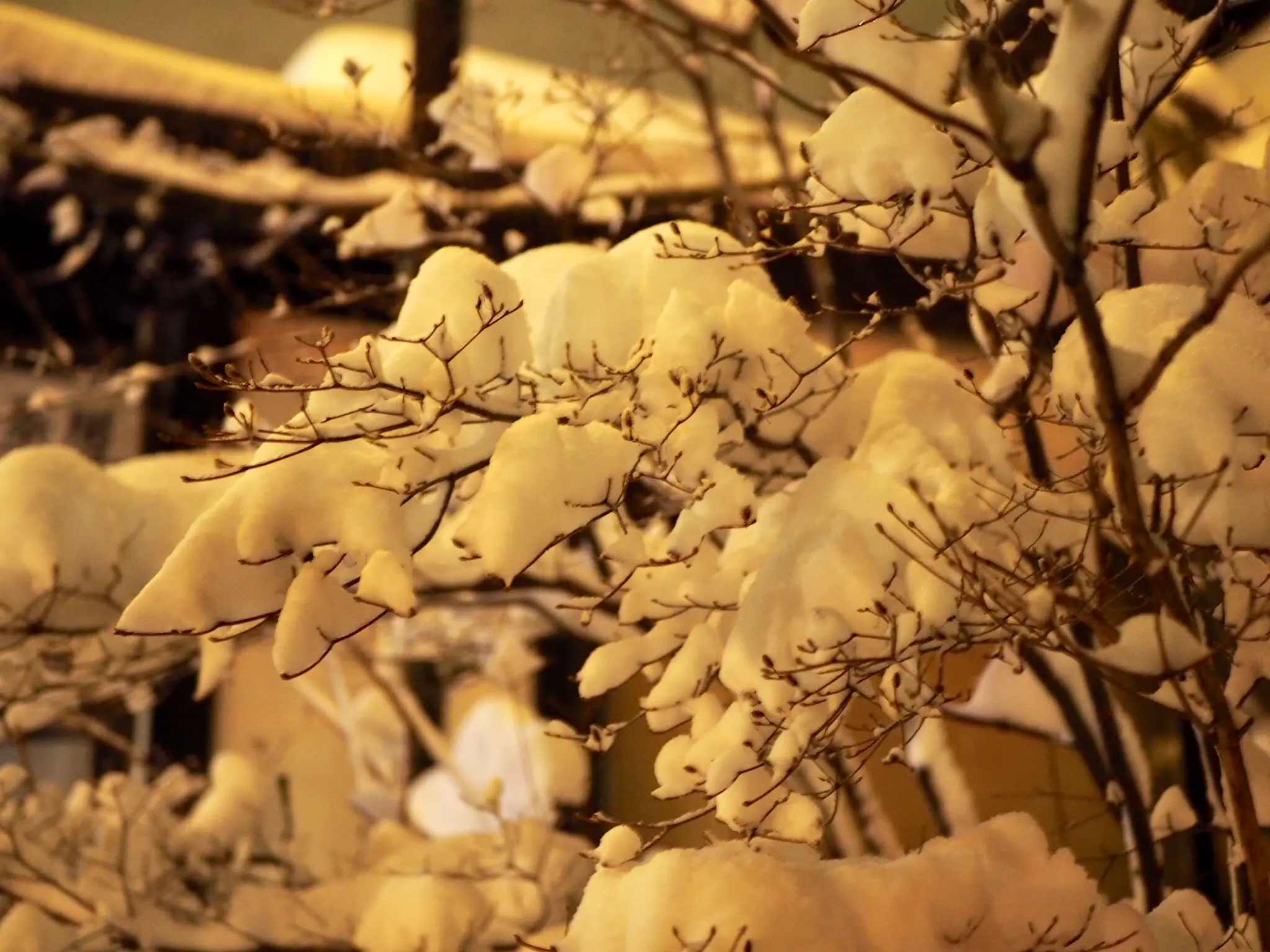 【草津温泉】雪景色がエモすぎる温泉旅♨︎♡_7