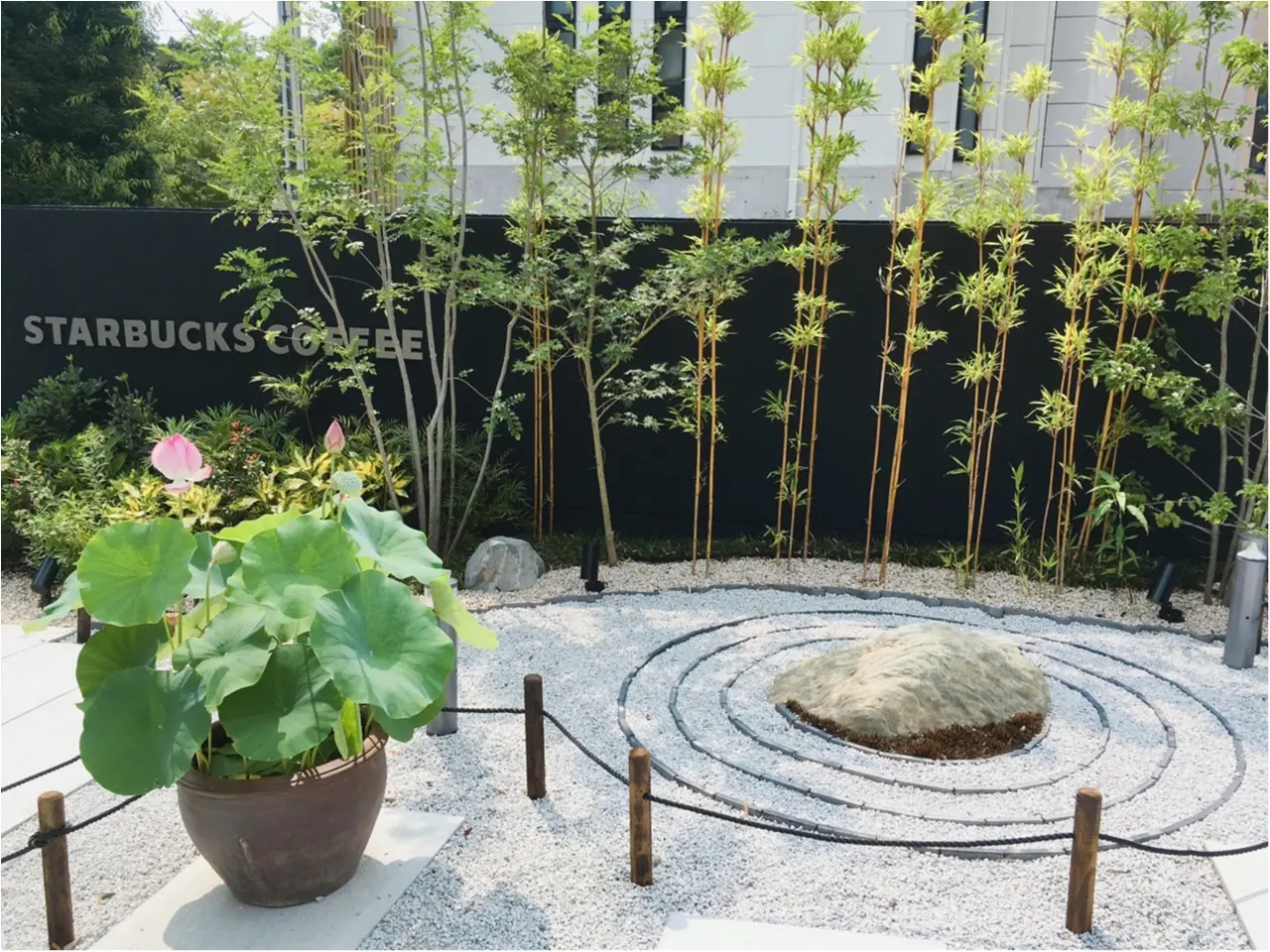 本当は教えたくない♡京都なのに空いてて、日本庭園で飲める!穴場の【スタバ】があるんです(*°○°*)_3
