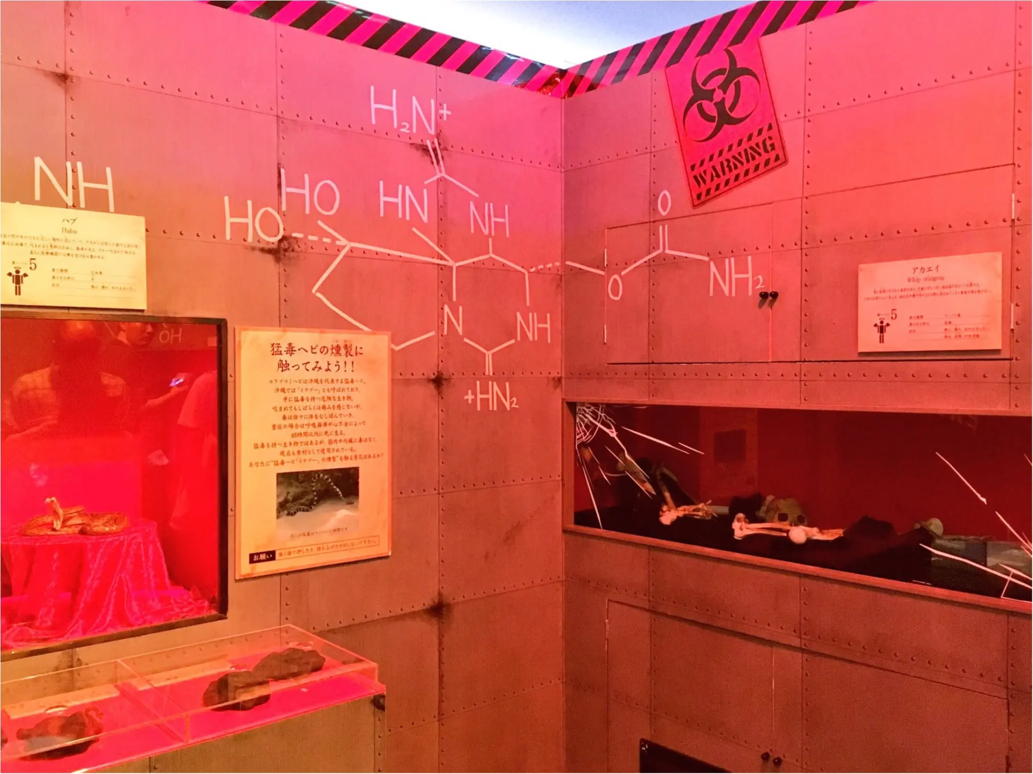 危険な生き物大集合!【毒毒毒毒毒毒毒毒毒展】に行ってきました( º_º )_2