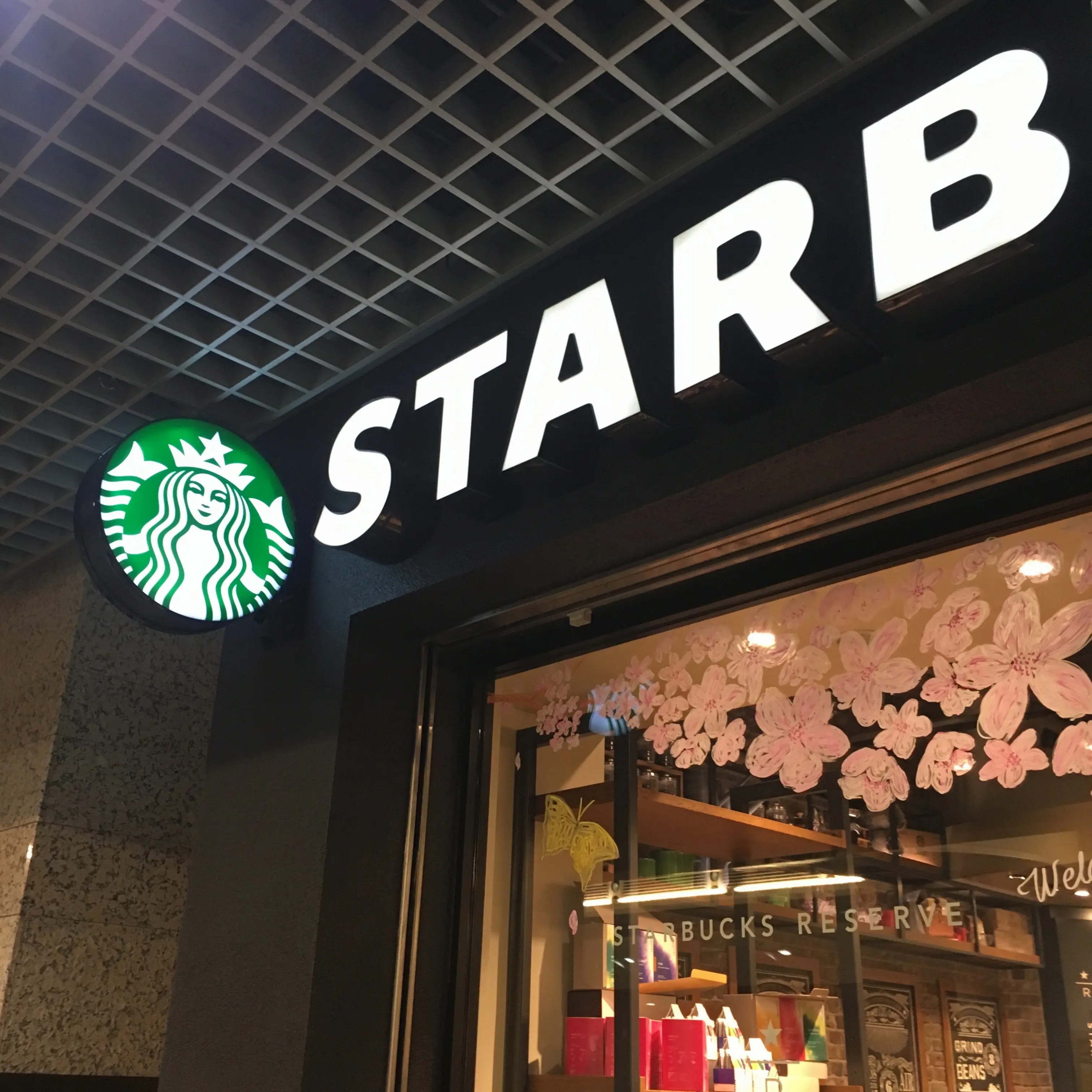 【 売り切れ必至!?】スターバックスのプリンに期間限定で抹茶が仲間入り♪ とろけるプリンのお味は…♡_1