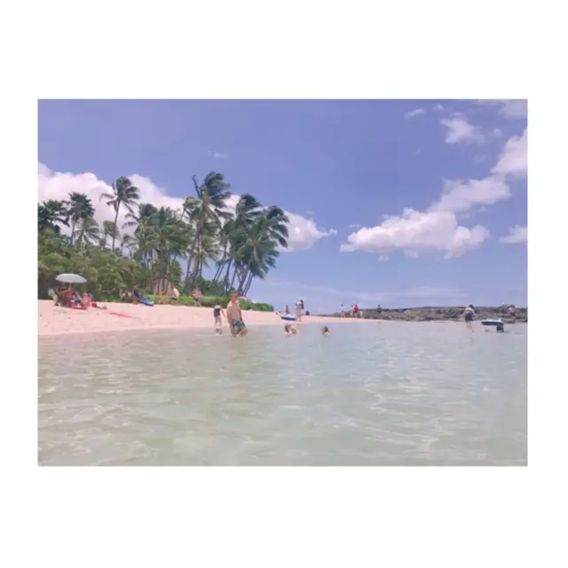 ハワイ旅行②_1