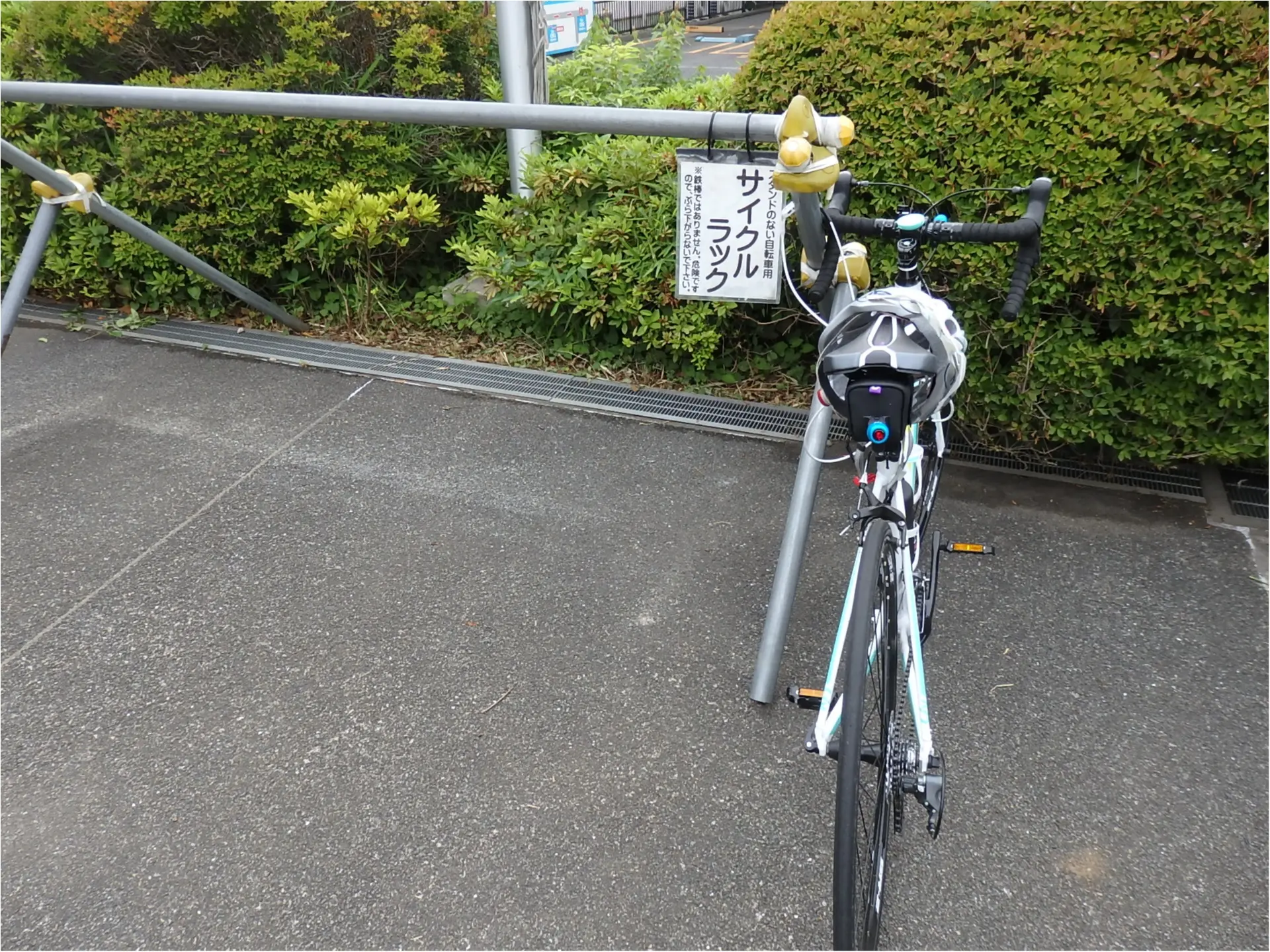 <自転車で朝活♪>1時間早く起きて、行きたかったパワースポットへ #ツール・ド・東北【#モアチャレ あかね】_3