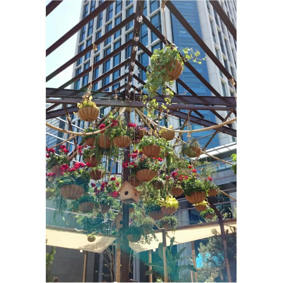 芝生の上でビール♡二子玉川で至福の時間を☺︎︎_2