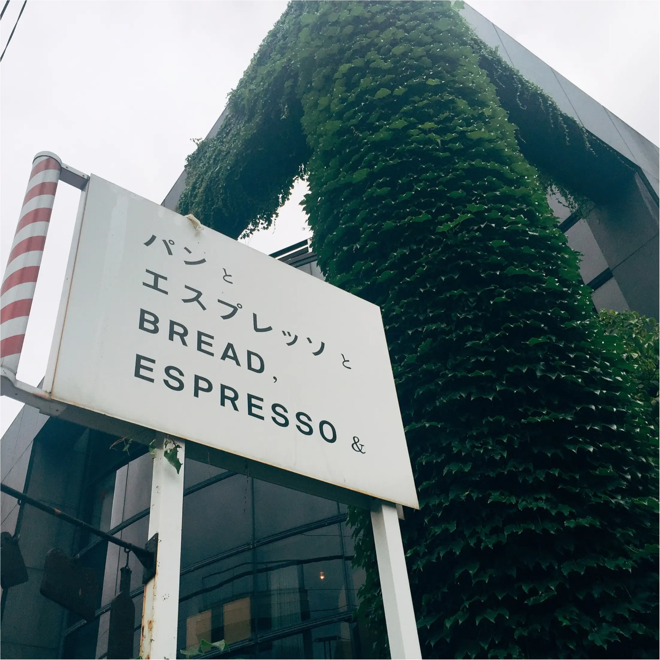 【表参道】行列ができるベーカリー「パンとエスプレッソと」でパニーニランチ♡_1