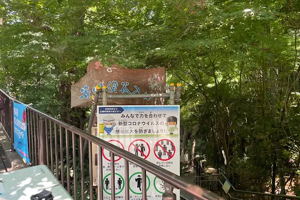 都会のオアシス!【等々力渓谷】で渓谷さんぽ_3