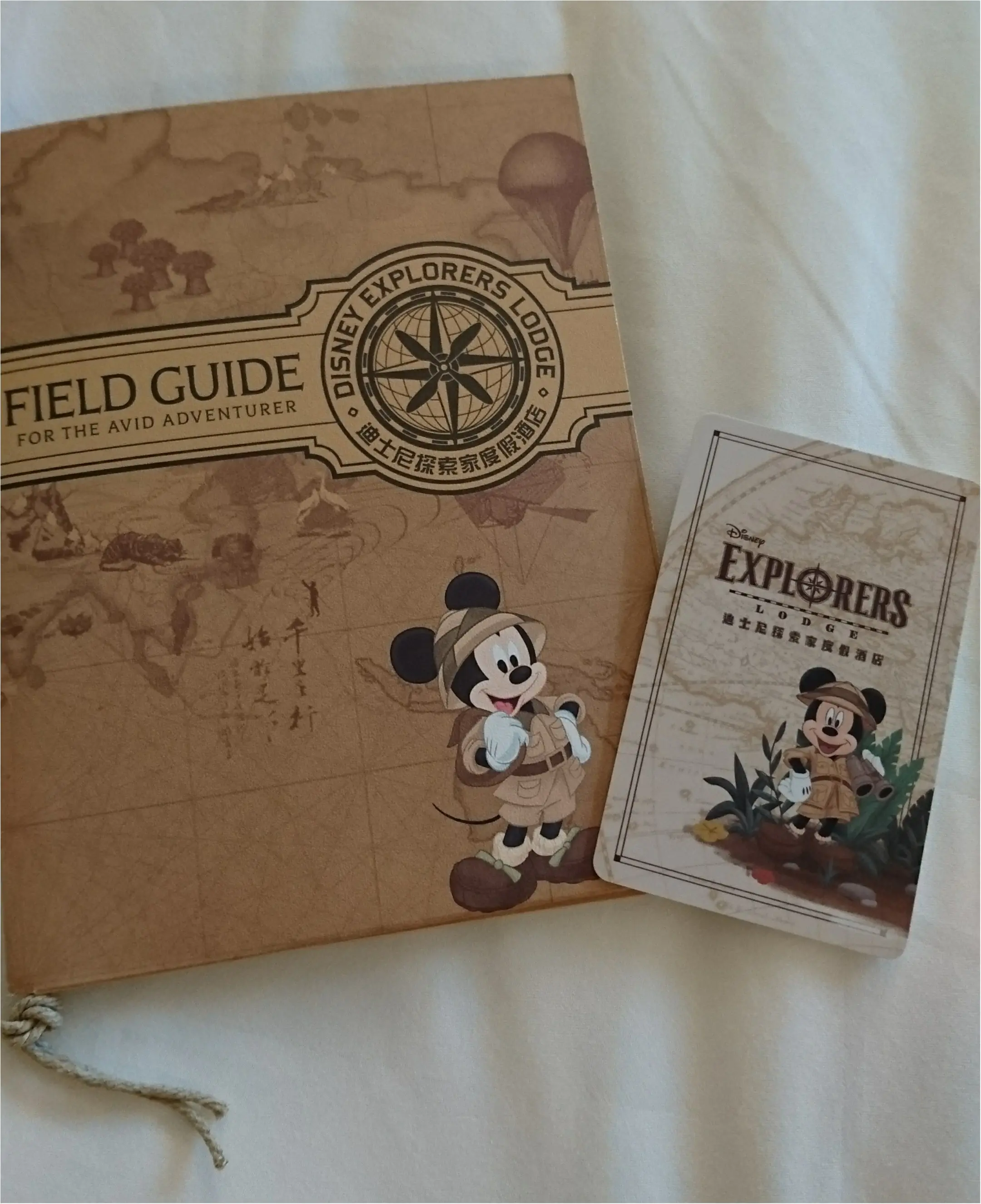 【trip】香港ディズニーエクスプローラーズロッジがかわいい!_5
