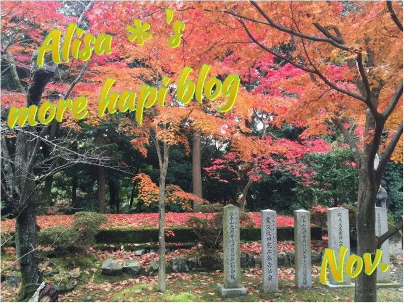 今旬【グレンチェック】ワンピースはお手頃&着映え◎な《Flower Days》にて購入しました!_1