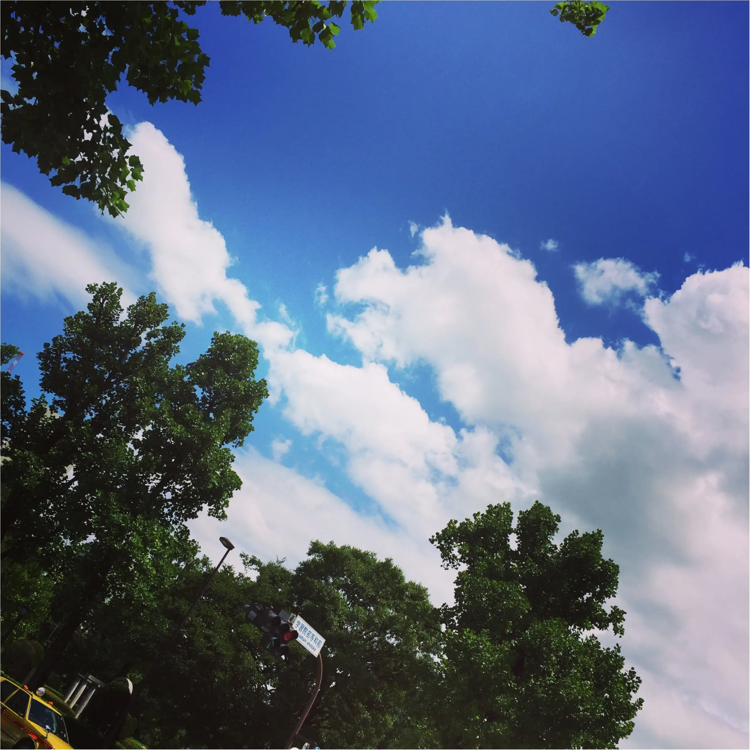 夏の記憶が蘇る✨✨この夏の《*空の写真*》_10