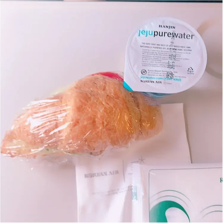 今回の釜山旅行は大韓航空で♡_2