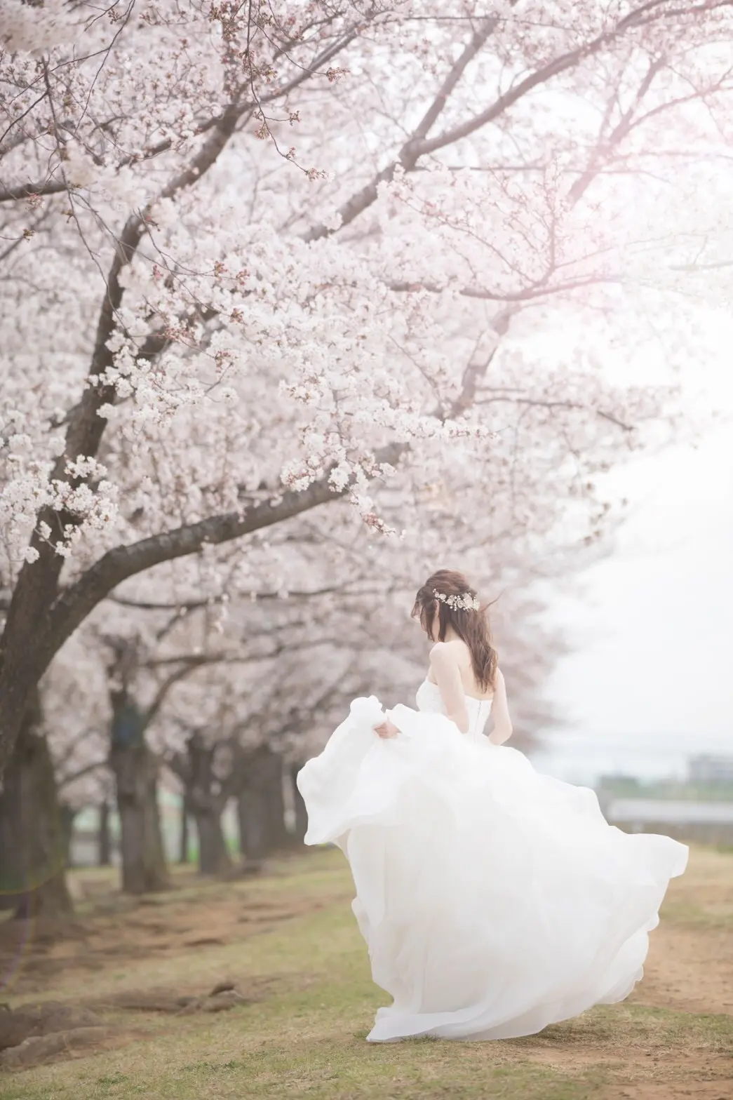 【桜ウェディング】桜満開の素敵なウェディングフォトを撮って頂きました♡_6