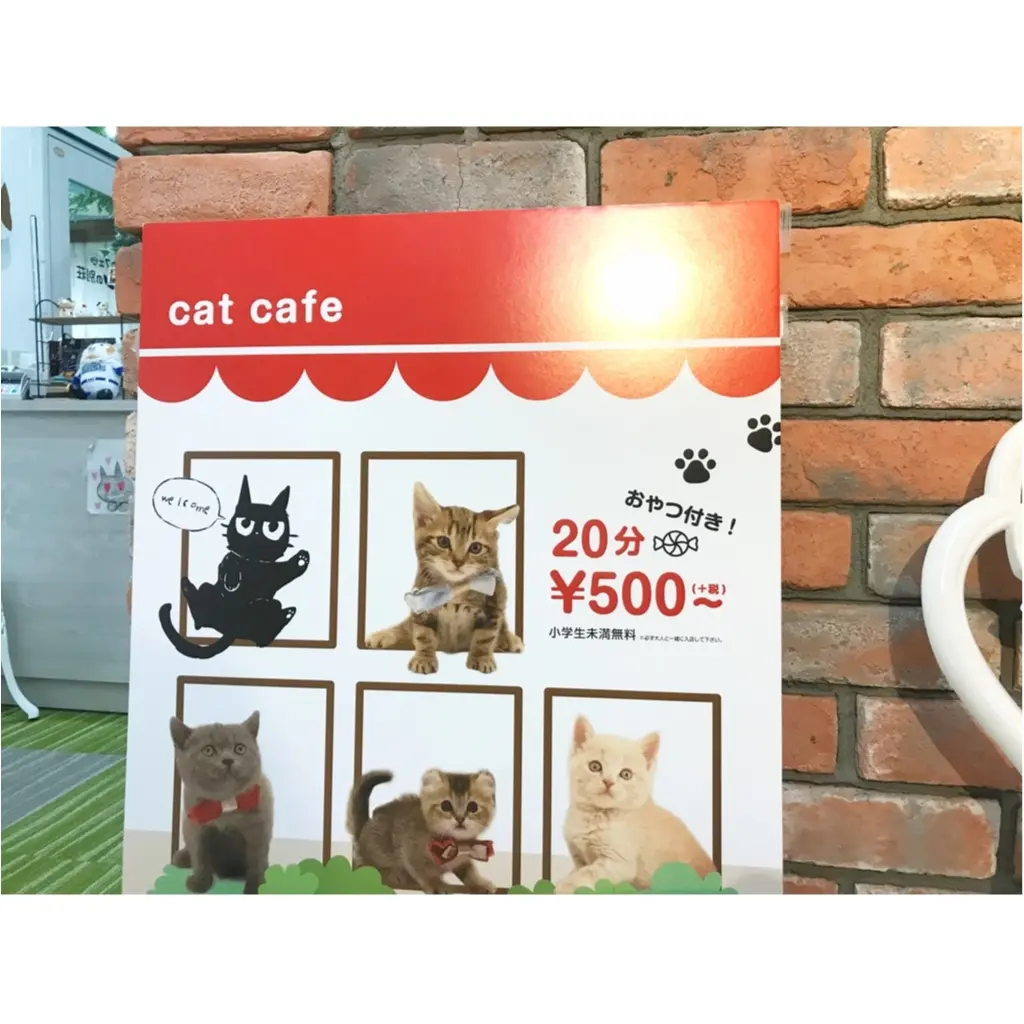 【空前の猫ブーム】首都圏内オススメの猫カフェ教えちゃいます!@横浜店レポ_2