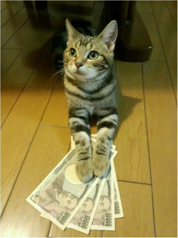 【オカネ】確定拠出年金、、、?_1