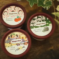 【ハーゲンダッツ】期間限定！アーティストコラボパッケージが可愛い❤︎
